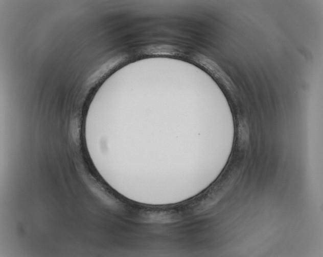 X0000113870533200910221336