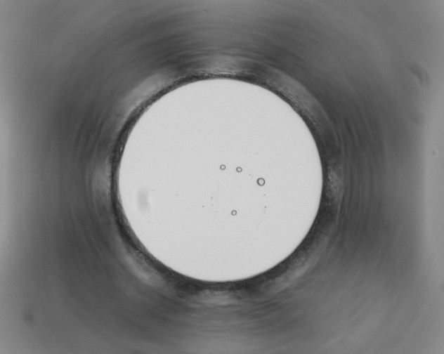 X0000113870534200910221337