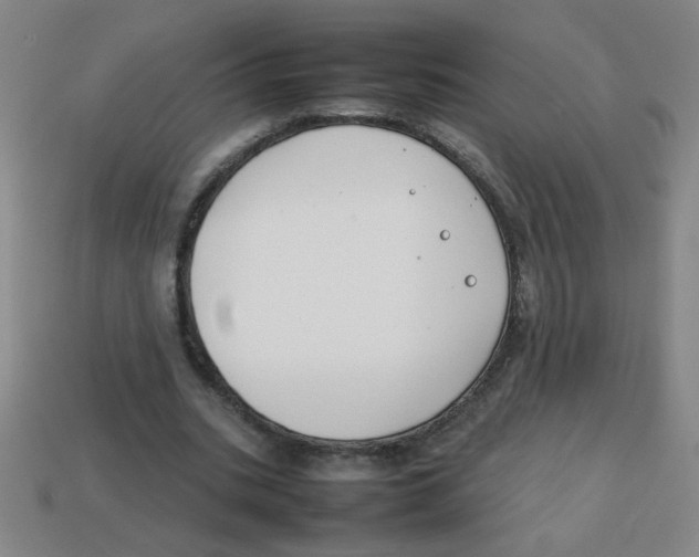 X0000113870535200910221337