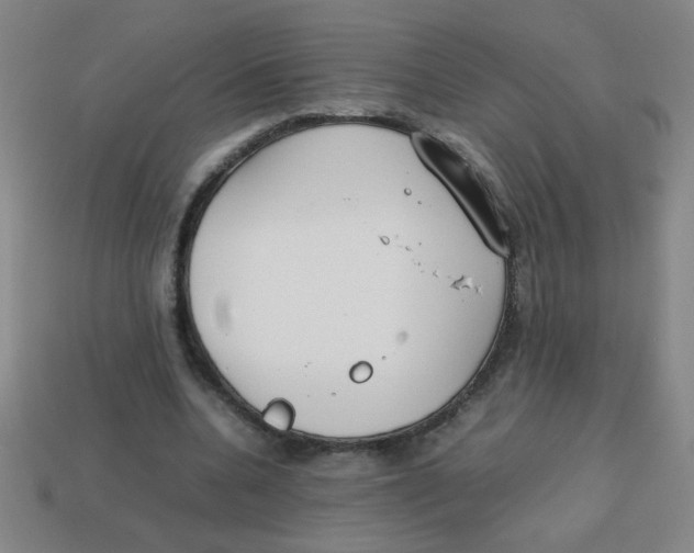 X0000113870536200910221337