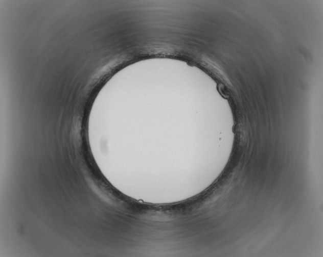 X0000113870538200910221337