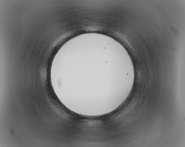X0000113870539200910221337