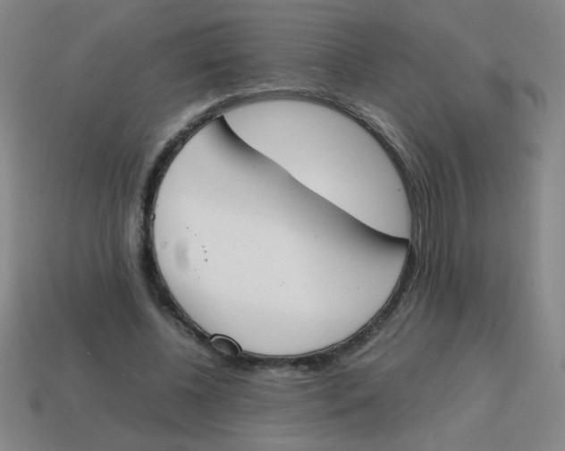 X0000113870540200910221337