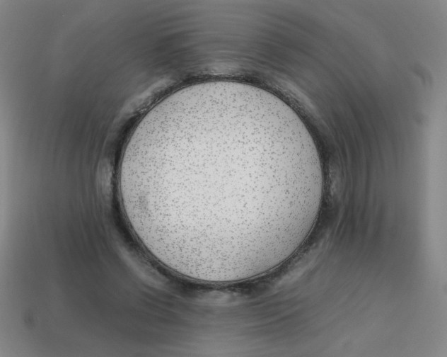 X0000113870542200910221337