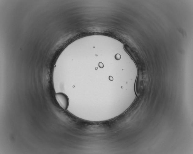 X0000113870544200910221337