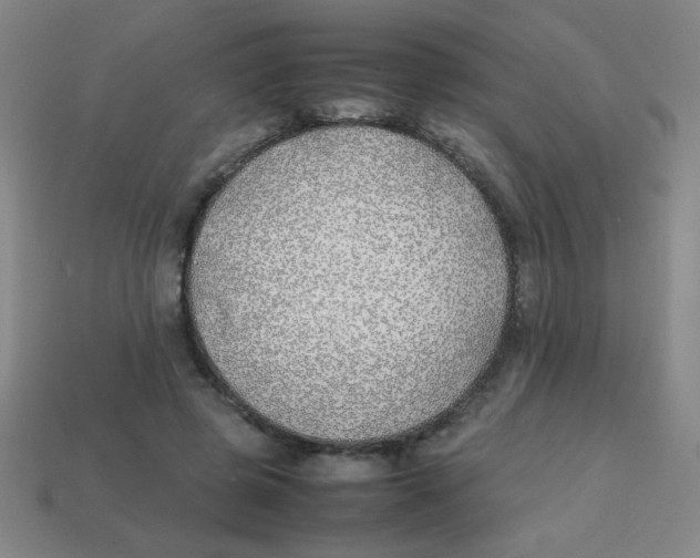 X0000113870545200910221337