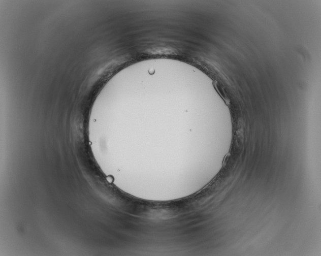 X0000113870547200910221337