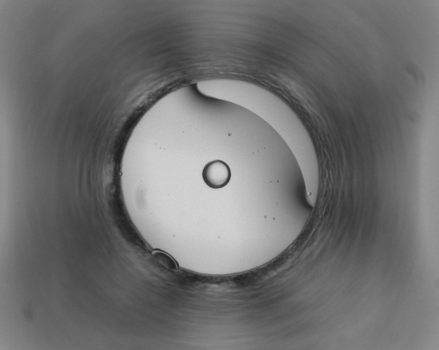 X0000113870548200910221337