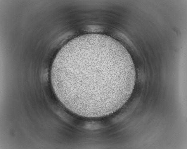 X0000113870549200910221337