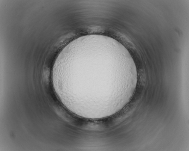 X0000113870550200910221337
