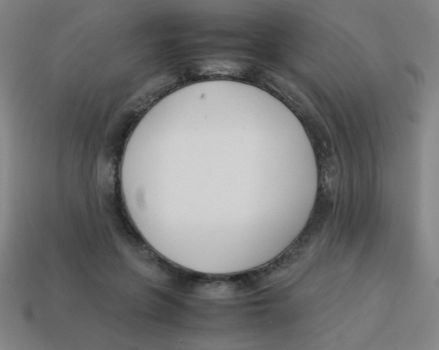 X0000113870551200910221337