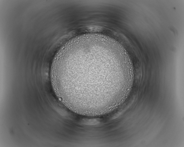 X0000113870553200910221337