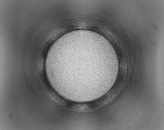 X0000113870554200910221337