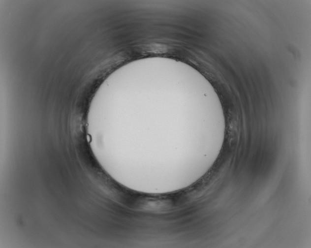 X0000113870555200910221337