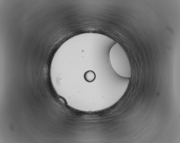 X0000113870556200910221337