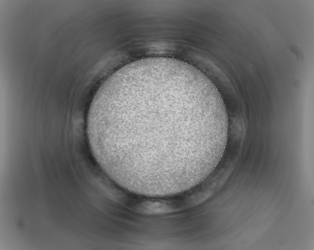 X0000113870557200910221337