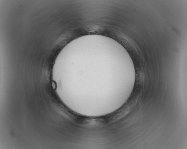 X0000113870558200910221337