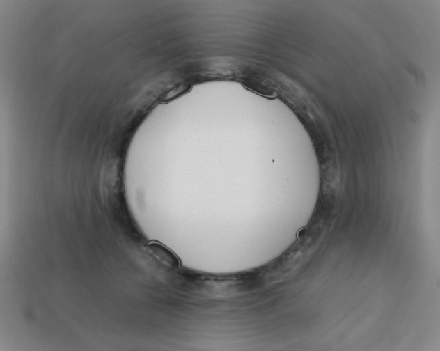 X0000113870560200910221337