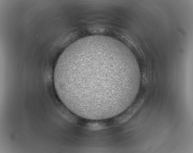 X0000113870561200910221337