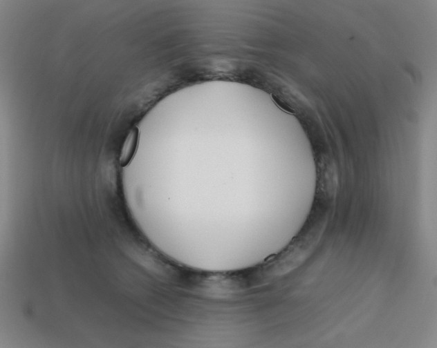 X0000113870562200910221337