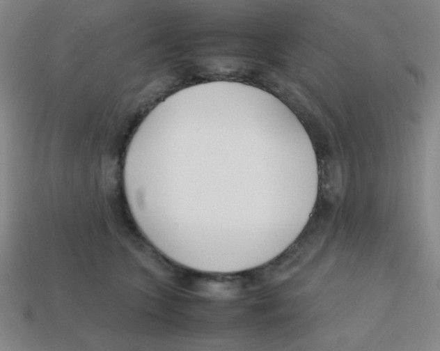 X0000113870563200910221337
