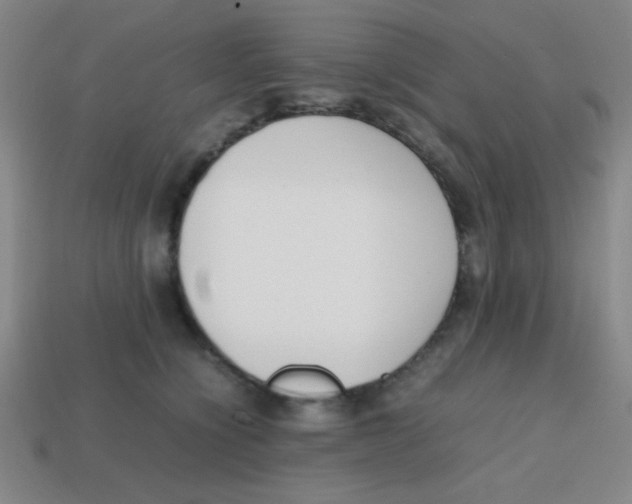 X0000113870564200910221337
