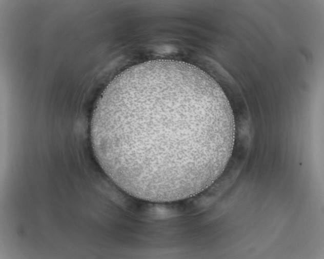 X0000113870565200910221337