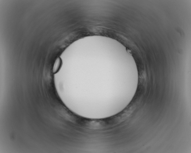 X0000113870566200910221337
