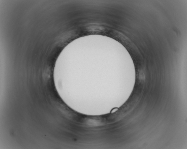 X0000113870567200910221337