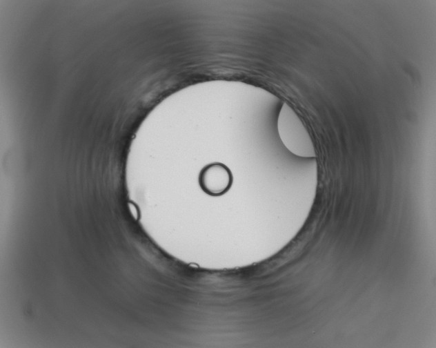X0000113870568200910221337