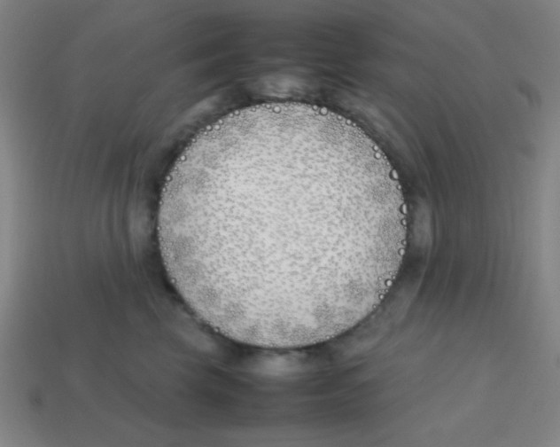 X0000113870569200910221337