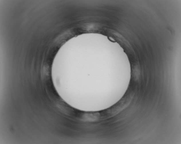 X0000113870571200910221337