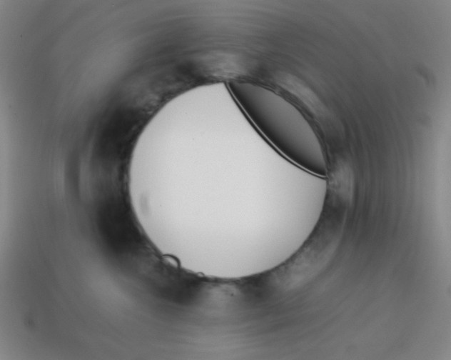 X0000113870572200910221337