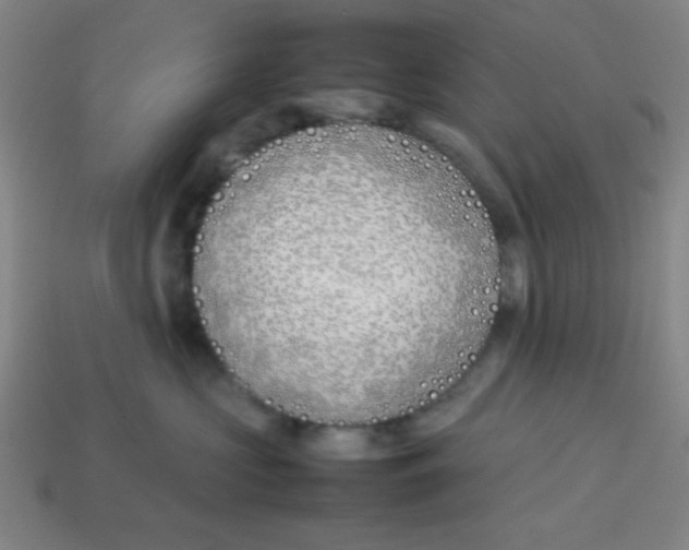 X0000113870573200910221337