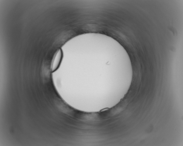 X0000113870576200910221337