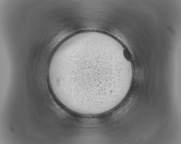 X0000113870577200910221336