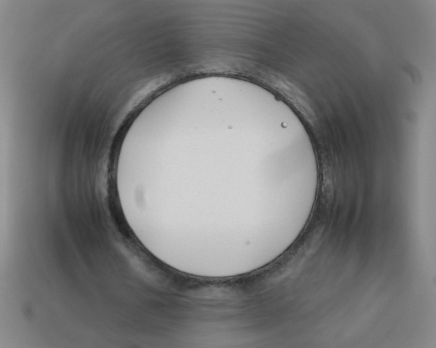X0000113870578200910221336