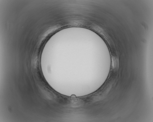 X0000113870579200910221336