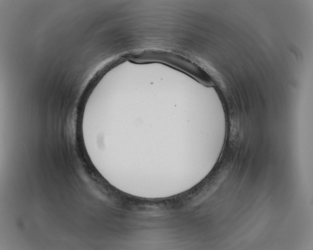 X0000113870580200910221336