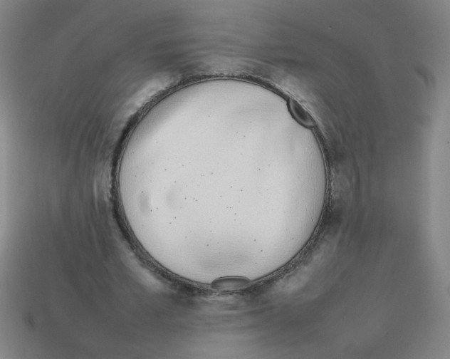 X0000113870581200910221336