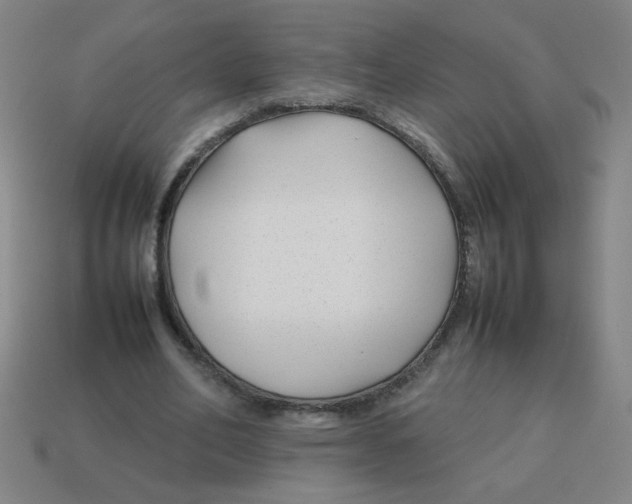 X0000113870582200910221336