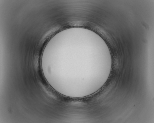 X0000113870586200910221336