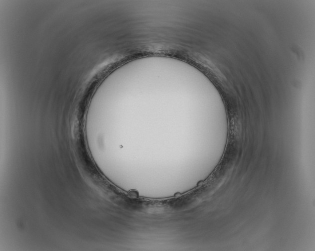X0000113870587200910221336