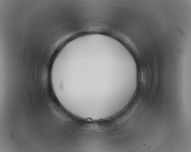 X0000113870588200910221336