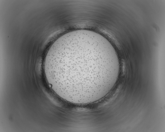 X0000113870590200910221336