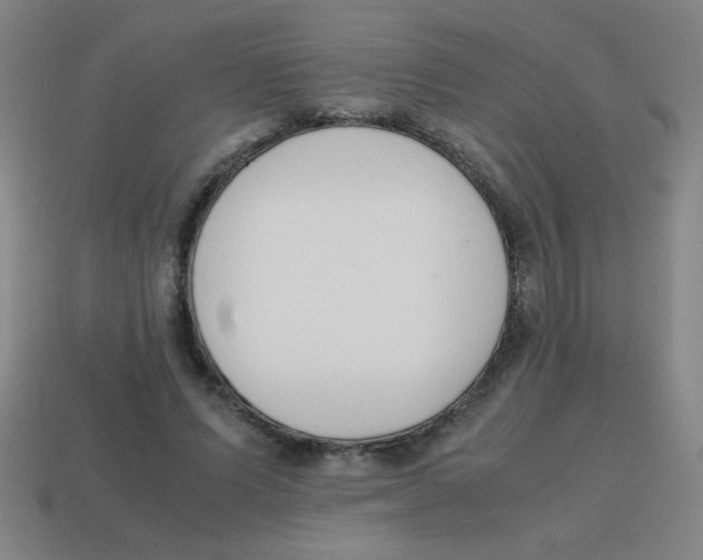X0000113870591200910221336