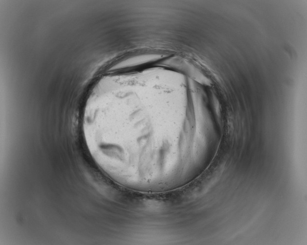 X0000113870592200910221336