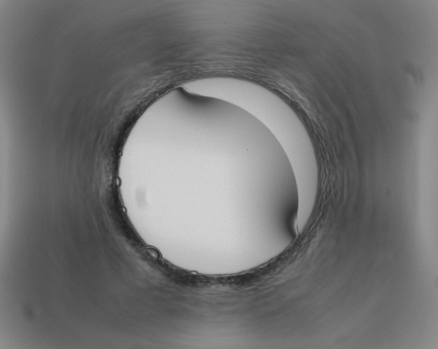 X0000113870593200910221336