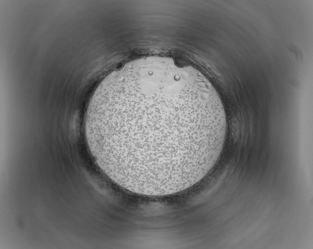 X0000113870594200910221336