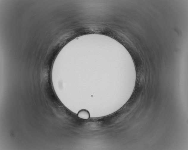 X0000113870595200910221336
